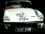 you are my sunshine Vinyl Wall Car Window Decal - Fusion Decals