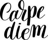 Carpe diem Vinyl Wall Car Window Decal - Fusion Decals
