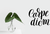 Carpe diem Vinyl Wall Car Window Decal - Fusion Decals