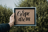 Carpe diem Vinyl Wall Car Window Decal - Fusion Decals