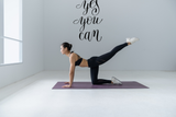 Yes you can Vinyl Wall Car Window Decal - Fusion Decals