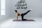 Collect experiences not things Vinyl Wall Car Window Decal - Fusion Decals