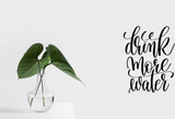 Drink more water Vinyl Wall Car Window Decal - Fusion Decals