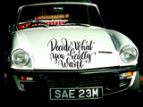 Decide what you really want Vinyl Wall Car Window Decal - Fusion Decals
