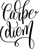 Carpe diem Vinyl Wall Car Window Decal - Fusion Decals