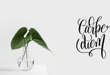 Carpe diem Vinyl Wall Car Window Decal - Fusion Decals