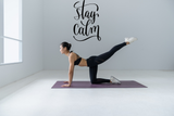 Stay calm Vinyl Wall Car Window Decal - Fusion Decals