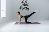 Hello lovely Vinyl Wall Car Window Decal - Fusion Decals