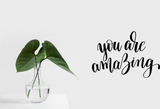 You are amazing Vinyl Wall Car Window Decal - Fusion Decals