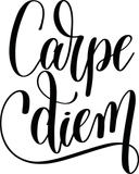 Carpe diem Vinyl Wall Car Window Decal - Fusion Decals