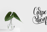 Carpe diem Vinyl Wall Car Window Decal - Fusion Decals