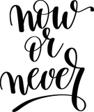 Now or never Vinyl Wall Car Window Decal - Fusion Decals