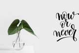 Now or never Vinyl Wall Car Window Decal - Fusion Decals