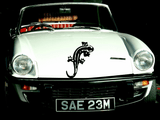 Lizard reptile creature style 104 Vinyl Wall Car Window Decal - Fusion Decals