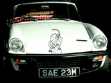 Lizard reptile creature style 117 Vinyl Wall Car Window Decal - Fusion Decals