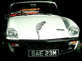 Lizard reptile creature style 119 Vinyl Wall Car Window Decal - Fusion Decals