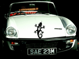Lizard reptile creature style 166 Vinyl Wall Car Window Decal - Fusion Decals