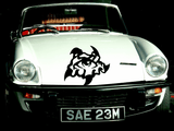 Lizard reptile creature style 171 Vinyl Wall Car Window Decal - Fusion Decals