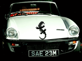 Lizard reptile creature style 173 Vinyl Wall Car Window Decal - Fusion Decals