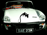 Lizard reptile creature style 174 Vinyl Wall Car Window Decal - Fusion Decals