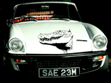 Lizard reptile creature style 187 Vinyl Wall Car Window Decal - Fusion Decals