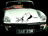 Lizard reptile creature style 188 Vinyl Wall Car Window Decal - Fusion Decals