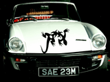 Lizard reptile creature style 19 Vinyl Wall Car Window Decal - Fusion Decals