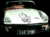 Lizard reptile creature style 190 Vinyl Wall Car Window Decal - Fusion Decals