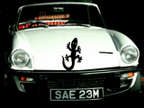 Lizard reptile creature style 201 Vinyl Wall Car Window Decal - Fusion Decals