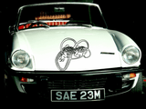 Lizard reptile creature style 203 Vinyl Wall Car Window Decal - Fusion Decals