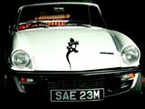 Lizard reptile creature style 204 Vinyl Wall Car Window Decal - Fusion Decals