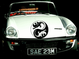Lizard reptile creature style 206 Vinyl Wall Car Window Decal - Fusion Decals