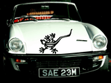 Lizard reptile creature style 208 Vinyl Wall Car Window Decal - Fusion Decals