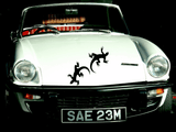 Lizard reptile creature style 21 Vinyl Wall Car Window Decal - Fusion Decals