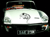 Lizard reptile creature style 211 Vinyl Wall Car Window Decal - Fusion Decals