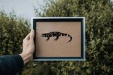 Lizard reptile creature style 214 Vinyl Wall Car Window Decal - Fusion Decals