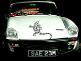 Lizard reptile creature style 217 Vinyl Wall Car Window Decal - Fusion Decals