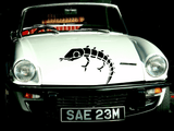 Lizard reptile creature style 228 Vinyl Wall Car Window Decal - Fusion Decals