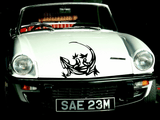 Lizard reptile creature style 229 Vinyl Wall Car Window Decal - Fusion Decals