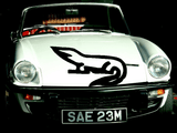 Lizard reptile creature style 231 Vinyl Wall Car Window Decal - Fusion Decals