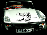 Lizard reptile creature style 235 Vinyl Wall Car Window Decal - Fusion Decals