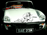 Lizard reptile creature style 241 Vinyl Wall Car Window Decal - Fusion Decals