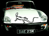 Lizard reptile creature style 243 Vinyl Wall Car Window Decal - Fusion Decals