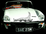 Lizard reptile creature style 244 Vinyl Wall Car Window Decal - Fusion Decals