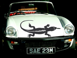 Lizard reptile creature style 248 Vinyl Wall Car Window Decal - Fusion Decals