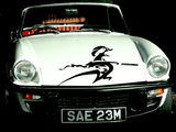 Lizard reptile creature style 252 Vinyl Wall Car Window Decal - Fusion Decals