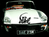 Lizard reptile creature style 258 Vinyl Wall Car Window Decal - Fusion Decals