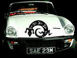Lizard reptile creature style 259 Vinyl Wall Car Window Decal - Fusion Decals