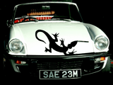 Lizard reptile creature style 3 Vinyl Wall Car Window Decal - Fusion Decals