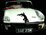 Lizard reptile creature style 30 Vinyl Wall Car Window Decal - Fusion Decals